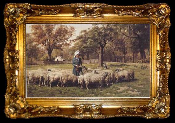 framed  unknow artist Sheep 179, ta009-2